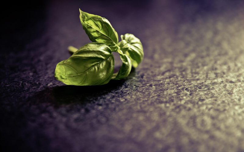 basil-g1625f6a81_1920