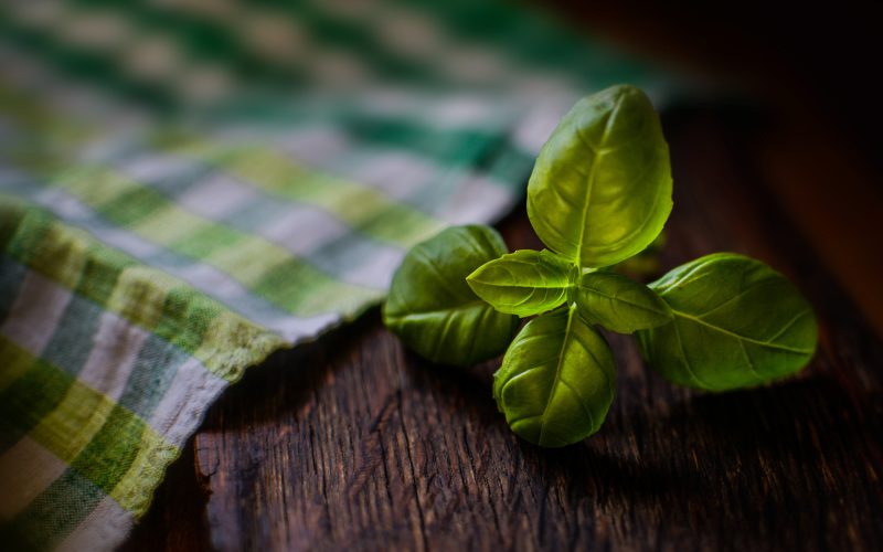 basil-g8c1e33d66_1920